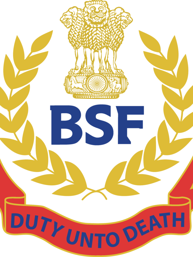 sbf new job notification 2024